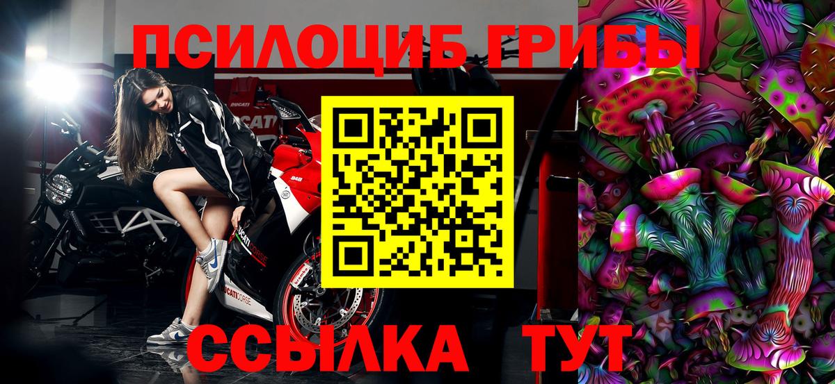 Псилоцибиновые грибы прущие грибы  Вход с VPN  Рассказово 
