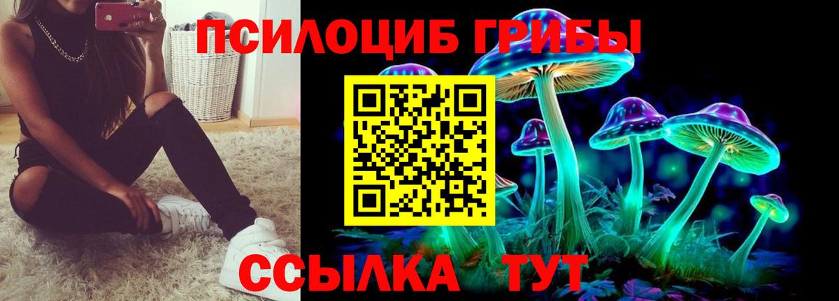 Псилоцибиновые грибы Psilocybe Рассказово